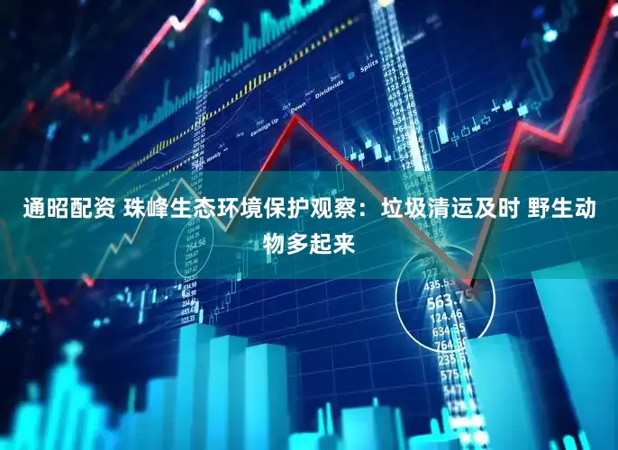 通昭配资 珠峰生态环境保护观察：垃圾清运及时 野生动物多起来
