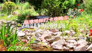 配资宝 临港地标打卡攻略③，飞鲸岛音乐节就该这么玩！