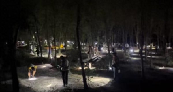 009配资 提桶抓 熬夜抓 有人一晚上抓几百只！“知了猴”为啥这么抢手？