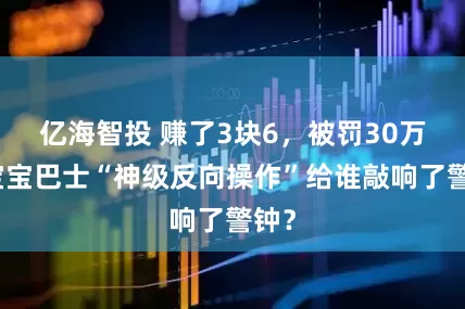 亿海智投 赚了3块6，被罚30万！宝宝巴士“神级反向操作”给谁敲响了警钟？